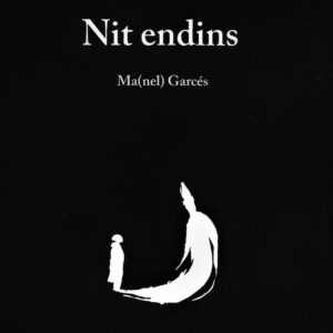 Nit endins